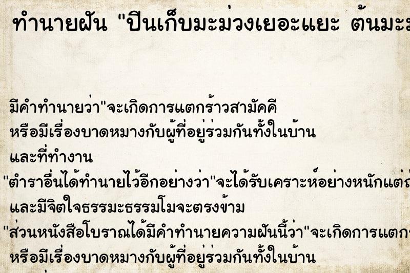 ทำนายฝันปีนเก็บมะม่วงเยอะแยะต้นมะม่วงมีมดแดงแต่ไม่กัด ทำนายฝันทำนายฝันปีนเก็บมะม่วงเยอะแยะต้นมะม่วงมีมดแดงแต่ไม่กัด